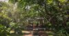 Secluded garden pavilion at a St Barts villa surrounded by lush tropical trees and greenery, creating a serene retreat.