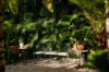 Secluded garden corner with bench and tropical greenery at St Barts vacation rental