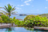 Infinity pool surrounded by tropical greenery with ocean view at luxury villa in St Barts