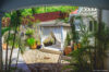Luxury villa terrace in St Barts with loungers.