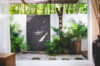 Tropical garden patio with stone wall, lush ferns, and natural light at a St Barts villa rental.