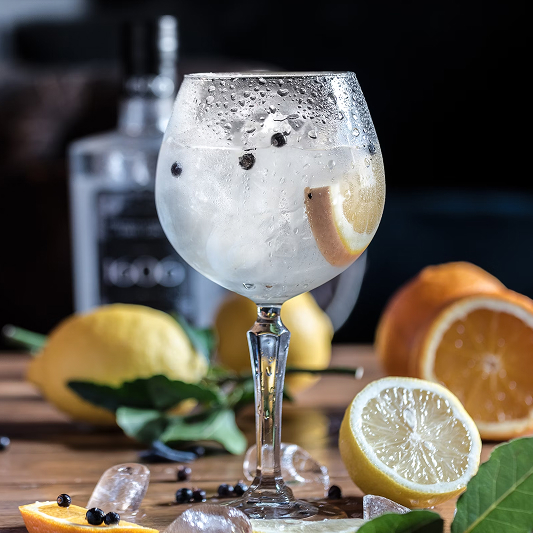 Gin and tonic with citrus garnish