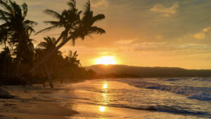 Golden sunset over a tropical beach with leaning palm trees and gentle ocean waves.