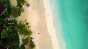 Aerial view of a tropical beach with turquoise waters and luxury villas surrounded by palm trees.